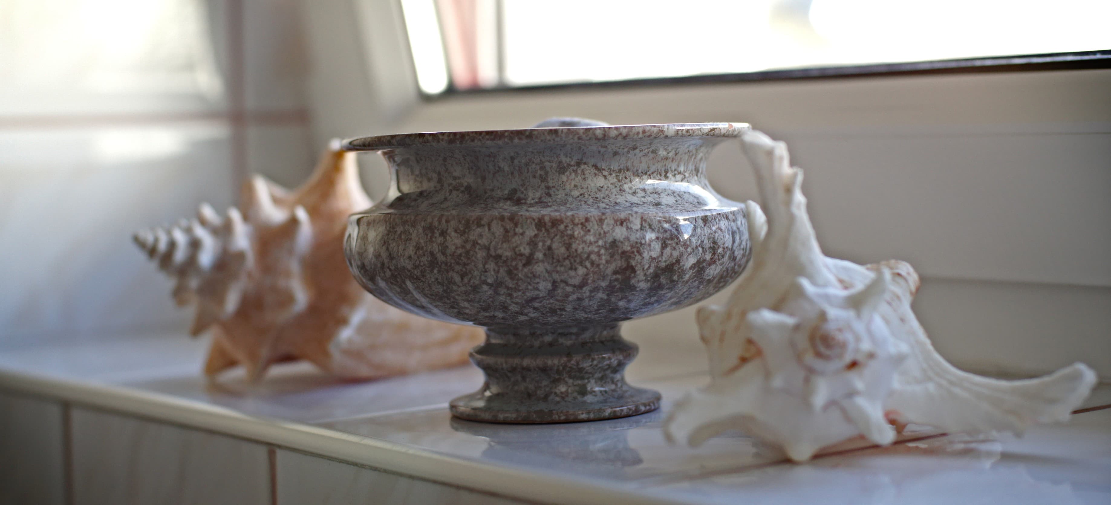 Forest views from window